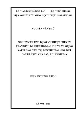 Luận án tiến sĩ nghiên cứu ứng dụng kỹ thuật chuyển thần kinh để phục hồi gấp khuỷu và giạng vai trong điều trị tổn thương nhổ đứt các rễ trên của đám rối cánh tay