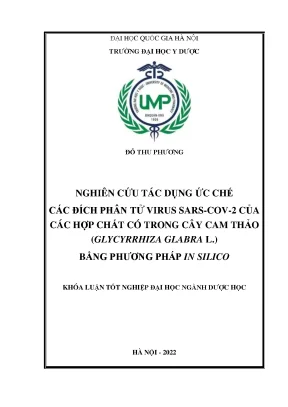 Luận văn tốt nghiệp nghiên cứu tác dụng ức chế các đích phân tử virus sars cov 2 của các hợp chất có trong cây cam thảo glycyrrhiza glabra l bằng phương pháp in silico