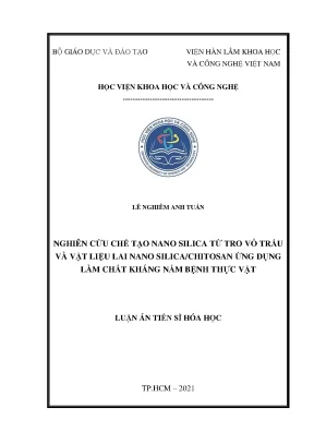 Luận án tiến sĩ nghiên cứu chế tạo nano silica từ tro vỏ trấu và vật liệu lai nano silica chitosan ứng dụng làm chất kháng nấm bệnh thực vật