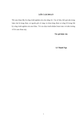 Luận văn thạc sĩ nghiên cứu giải pháp phát triển nguồn nhân lực của đài phát thanh ttruyền hình thái nguyên