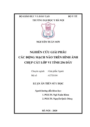 Luận án tiến sĩ nghiên cứu giải phẫu các động mạch não trên hình ảnh chụp cắt lớp vi tính 256 dãy