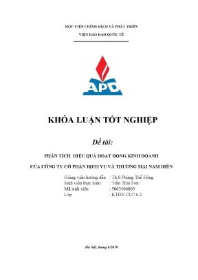 Luận văn tốt nghiệp phân tích hiệu quả hoạt động kinh doanh của công ty cổ phần dịch vụ và thương mại nam diễn