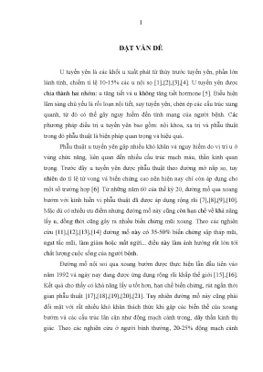 Luận án nghiên cứu ứng dụng đường mổ nội soi qua xoang bướm trong phẫu thuật u tuyến yên