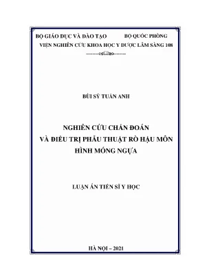 Luận án tiến sĩ nghiên cứu chẩn đoán và điều trị phẫu thuật rò hậu môn hình móng ngựa