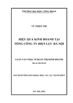 Luận văn thạc sĩ hiệu quả kinh doanh tại tổng công ty điện lực hà nội