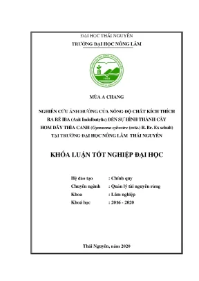 Luận văn tốt nghiệp nghiên cứu ảnh hưởng của nồng độ chất kích thích ra rễ iba axit indolbutylic đến sự hình thành cây hom dây thìa canh tại trường đại học nông lâm thái nguyên