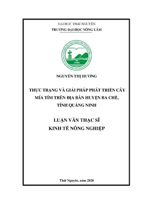 Luận văn tốt nghiệp thực trạng và giải pháp phát triển cây mía tím trên địa bàn huyện ba chẽ tỉnh quảng ninh
