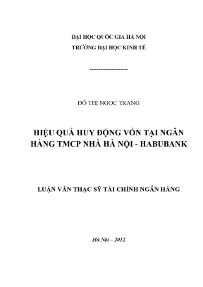 Luận văn thạc sĩ hiệu quả huy động vốn tại ngân hàng tmcp nhà hà nội habubank