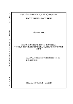 Luận văn thạc sĩ người thực hành trong đồng phạm từ thực tiễn huyện bình chánh thành phố hồ chí minh