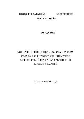 Luận án tiến sĩ nghiên cứu sự biểu hiện mrna của gen ciz1b vegf và đột biến egfr với nhiễm virus merkel cell ở bệnh nhân ung thư phổi không tế bào nhỏ
