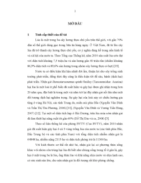 Luận án nghiên cứu đặc điểm sinh học sinh thái của nhện gié steneotarsonemus spinki smiley hại lúa và biện pháp phòng chống chúng ở một số tỉnh miền bắc việt nam