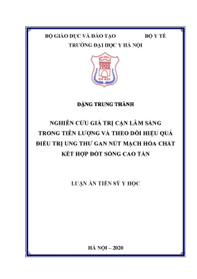 Luận án tiến sĩ nghiên cứu giá trị cận lâm sàng trong tiên lượng và theo dõi hiệu quả điều trị ung thư gan nút mạch hóa chất kết hợp đốt sóng cao tần