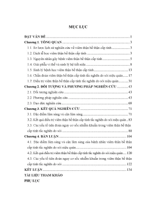 Luận án nghiên cứu kết quả điều trị viêm thận bể thận cấp tắc nghẽn do sỏi niệu quản