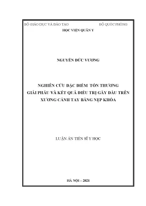Luận án tiến sĩ nghiên cứu đặc điểm tổn thương giải phẫu và kết quả điều trị gãy đầu trên xương cánh tay bằng nẹp khóa