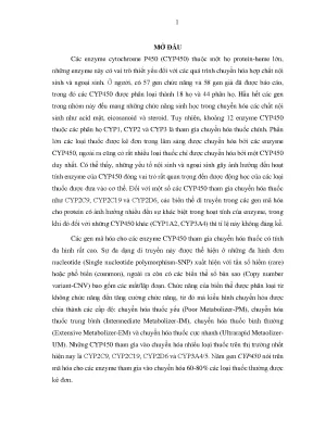 Luận án nghiên cứu đa hình đột biến gen cyp2c9 cyp2c19 cyp3a5 và cyp2d6 cytochrome p450 ở ngườ i kinh việt nam