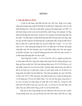 Luận án nghiên cứu sử dụng nấm metarhizium anisopliae và nấm beauveria bassiana phòng chống rệp sáp hại cà phê tại tây nguyên