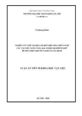 Luận án tiến sĩ nghiên cứu chế tạo bộ cảm biến sinh học điện hóa trên cơ sở các vật liệu nano vàng bạc oxide graphene khử để phát hiện một số vi khuẩn gây bệnh