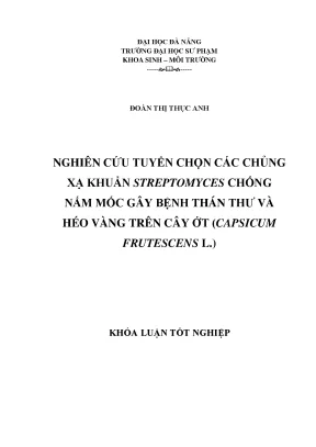 Luận văn tốt nghiệp nghiên cứu tuyển chọn các chủng xạ khuẩn streptomyces chống nấm mốc gây bệnh thán thư và héo vàng trên cây ớt capsicum frutescens l