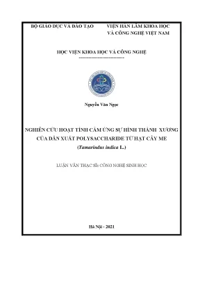 Luận văn thạc sĩ nghiên cứu hoạt tính cảm ứng sự hình thành xương của dẫn xuất polysaccharide từ hạt cây me tamarindus indica l