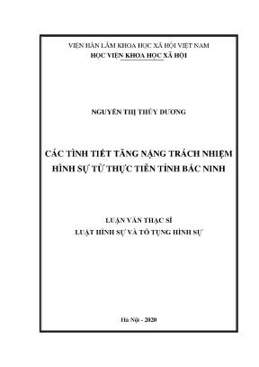 Luận án tiến sĩ các tình tiết tăng nặng trách nhiệm hình sự từ thực tiễn tỉnh bắc ninh