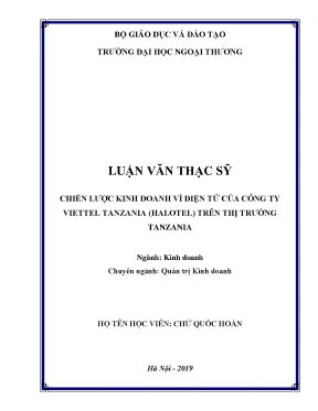 Luận văn thạc sĩ chiến lược kinh doanh ví điện tử của công ty viettel tanzania halotel trên thị trường tanzania