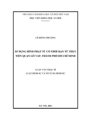 Luận văn thạc sĩ áp dụng hình phạt tù có thời hạn từ thực tiễn quận gò vấp thành phố hồ chí minh