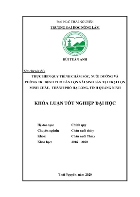 Luận văn tốt nghiệp thực hiện quy trình chăm sóc nuôi dưỡng và phòng trị bệnh cho đàn lợn nái sinh sản tại trại lợn minh châu thành phố hạ long tỉnh quảng ninh