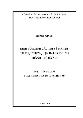 Luận án tiến sĩ định tội danh các tội về ma túy từ thực tiễn quận hai bà trưng thành phố hà nội
