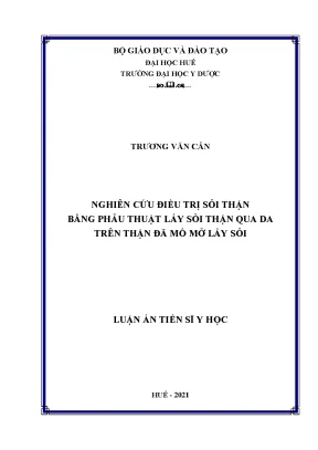 Luận án tiến sĩ nghiên cứu điều trị sỏi thận bằng phẫu thuật lấy sỏi thận qua da trên thận đã mổ mở lấy sỏi