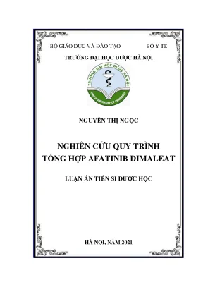 Luận án tiến sĩ nghiên cứu quy trình tổng hợp afatinib dimaleat