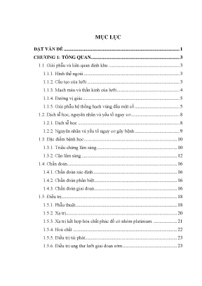 Luận án đánh giá kết quả điều trị ung thư lưỡi giai đoạn t1 t2n1m0 bằng phẫu thuật kết hợp hóa xạ trị đồng thời