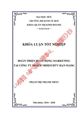 Luận văn tốt nghiệp hoàn thiện hoạt động marketing mix tại công ty tnhh madg huế