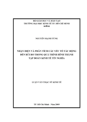 Luận văn thạc sĩ nhận diện quản trị rủi ro tại công ty tnhh tín nghĩa luận văn thạc sĩ