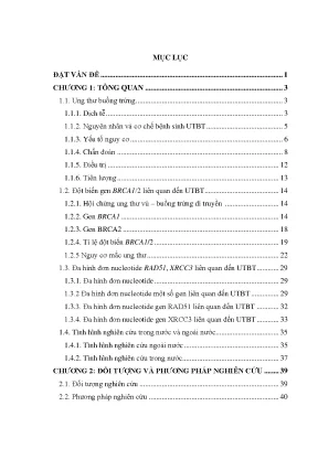 Luận án nghiên cứu tính đa hình thái đơn nucleotid snp và đột biến một số gen trong ung thư buồng trứng