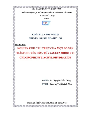Luận văn thạc sĩ nghiên cứu cấu trúc của một số sản phẩm chuyển hóa từ 2 acetamido 3 4 chlorophenyl