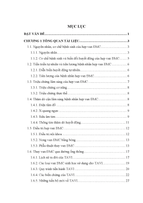 Luận án nghiên cứu ứng dụng kỹ thuật thay van động mạch chủ qua đường ống thông điều trị hẹp khít van động mạch chủ