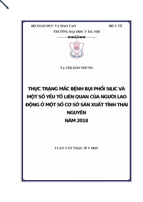 Luận văn thạc sĩ thực trạng mắc bệnh bụi phổi silic và một số yếu tố liên quan của người lao động ở một số cơ sở sản xuất tỉnh thái nguyên năm 2018