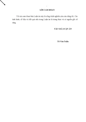 Luận án giải pháp chống thất thu thuế thu nhập doanh nghiệp trên địa bàn thành phố hải phòng