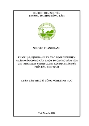 Luận văn thạc sĩ phân lập định danh và xác định điều kiện nhân nuôi giống cấp 1 một số chủng nấm vân chi trametes versicolor bản địa miền núi phía bắc việt nam