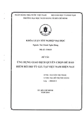 Luận văn thạc sĩ ứng dụng giao dịch quyền chọn để bảo hiểm rủi ro tỷ giá tại việt nam hiện nay thắm