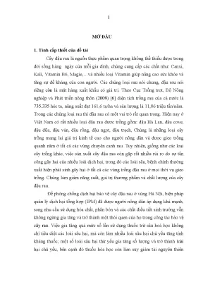 Luận án nghiên cứu thành phần bọ xít bắt mồi và khả lợi dụng hai loài coranus fuscipennis reuter và coranus spiniscutis reuter trong quản lý tổng hợp sâu hại đậu rau tại vùng hà nội