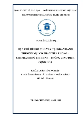 Luận văn thạc sĩ hạn chế rủi ro cho vay tại ngân hàng thương mại cổ phần tiên phong chi nhánh hồ chí minh phòng giao dịch cộng hòa