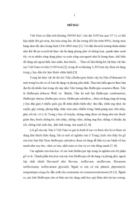 Luận án nghiên cứu thành phần hóa học và hoạt tính sinh học của loài sưa dalbergia tonkinensis prain ở việt nam