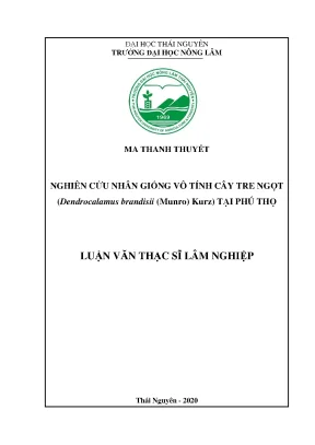 Luận văn tốt nghiệp nghiên cứu nhân giống vô tính cây tre ngọt dendrocalamus brandisii munro kurz tại phú thọ