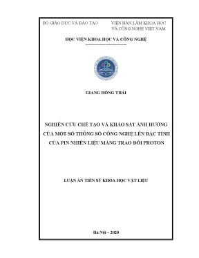 Luận án tiến sĩ nghiên cứu chế tạo và khảo sát ảnh hưởng của một số thông số công nghệ đến đặc tính của pin nhiên liệu màng trao đổi proton