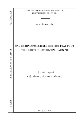 Luận văn thạc sĩ các hình phạt chính nhẹ hơn hình phạt tù có thời hạn từ thực tiễn tỉnh bắc ninh