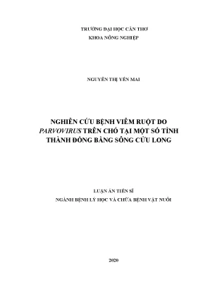 Luận án tiến sĩ nghiên cứu bệnh viêm ruột do parvovirus trên chó tại một số tỉnh thành đồng bằng sông cửu long