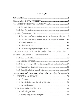 Luận án nghiên cứu giải phẫu các động mạch não trên hình ảnh chụp cắt lớp vi tính 256 dãy
