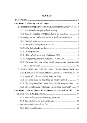 Luận án nghiên cứu tác dụng làm mềm mở cổ tử cung của sonde foley cải tiến trong gây chuyển dạ