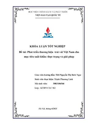 Luận văn tốt nghiệp phát triển thương hiệu trái vải việt nam cho mục tiêu xuất khẩu thực trạng và giải pháp